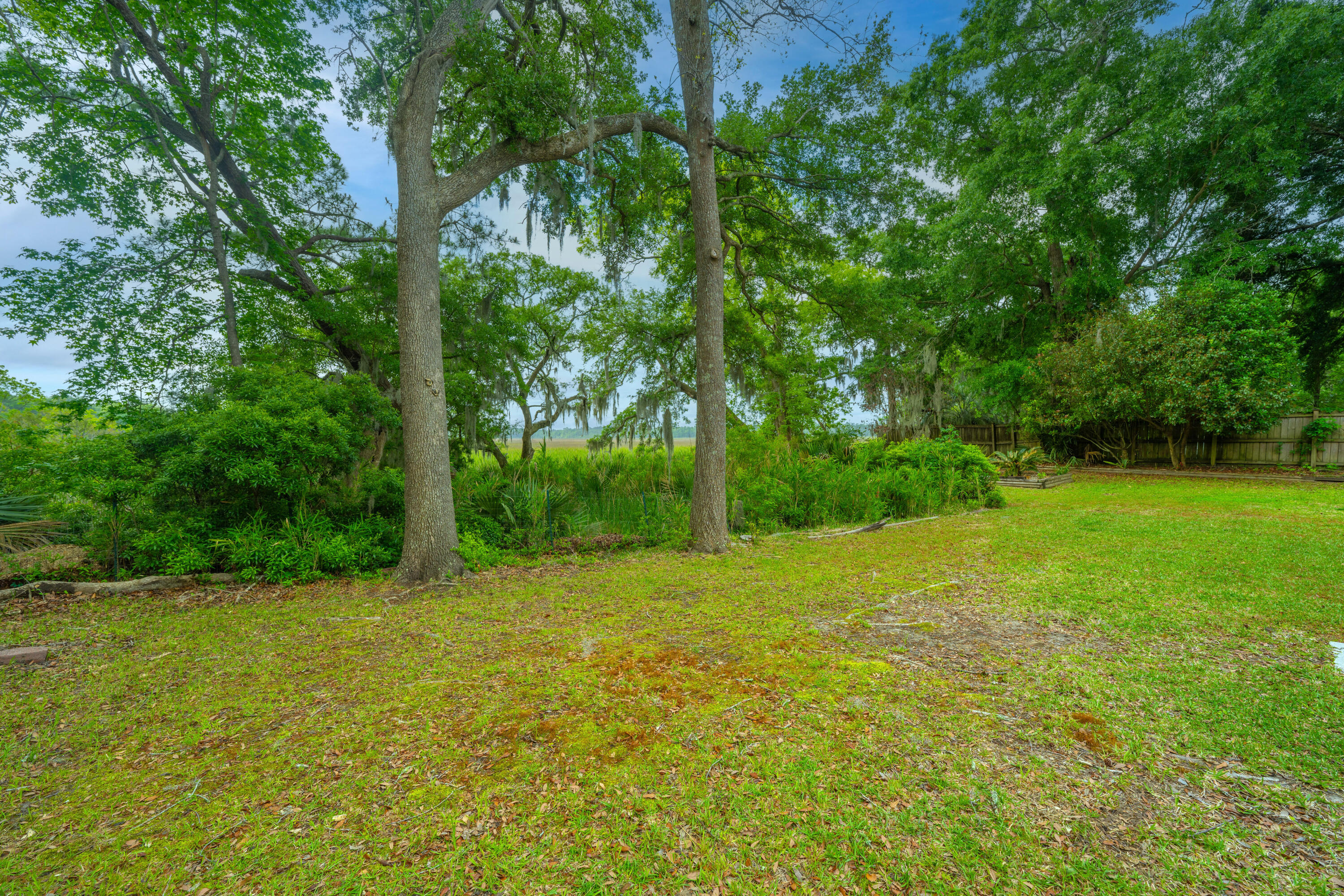 8290 Longridge Road North Charleston, SC 29418 - Photo 38 of 51 8290LongridgeRd046