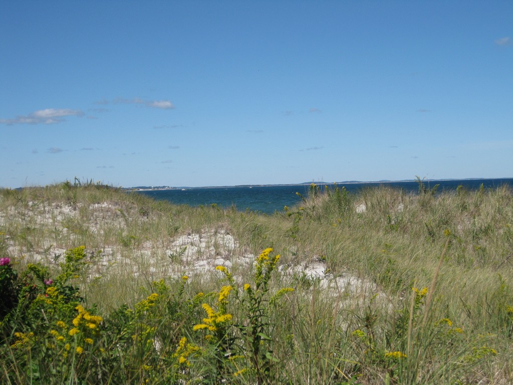 28 Waterman Road Gloucester, MA 01930 - Photo 7 of 12 Gallery Image 7