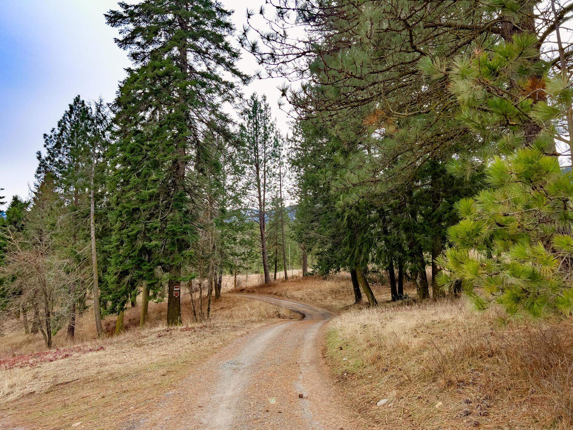 2063 A Marble Valley-Basin Road Addy, WA 99101 - Photo 13 of 35