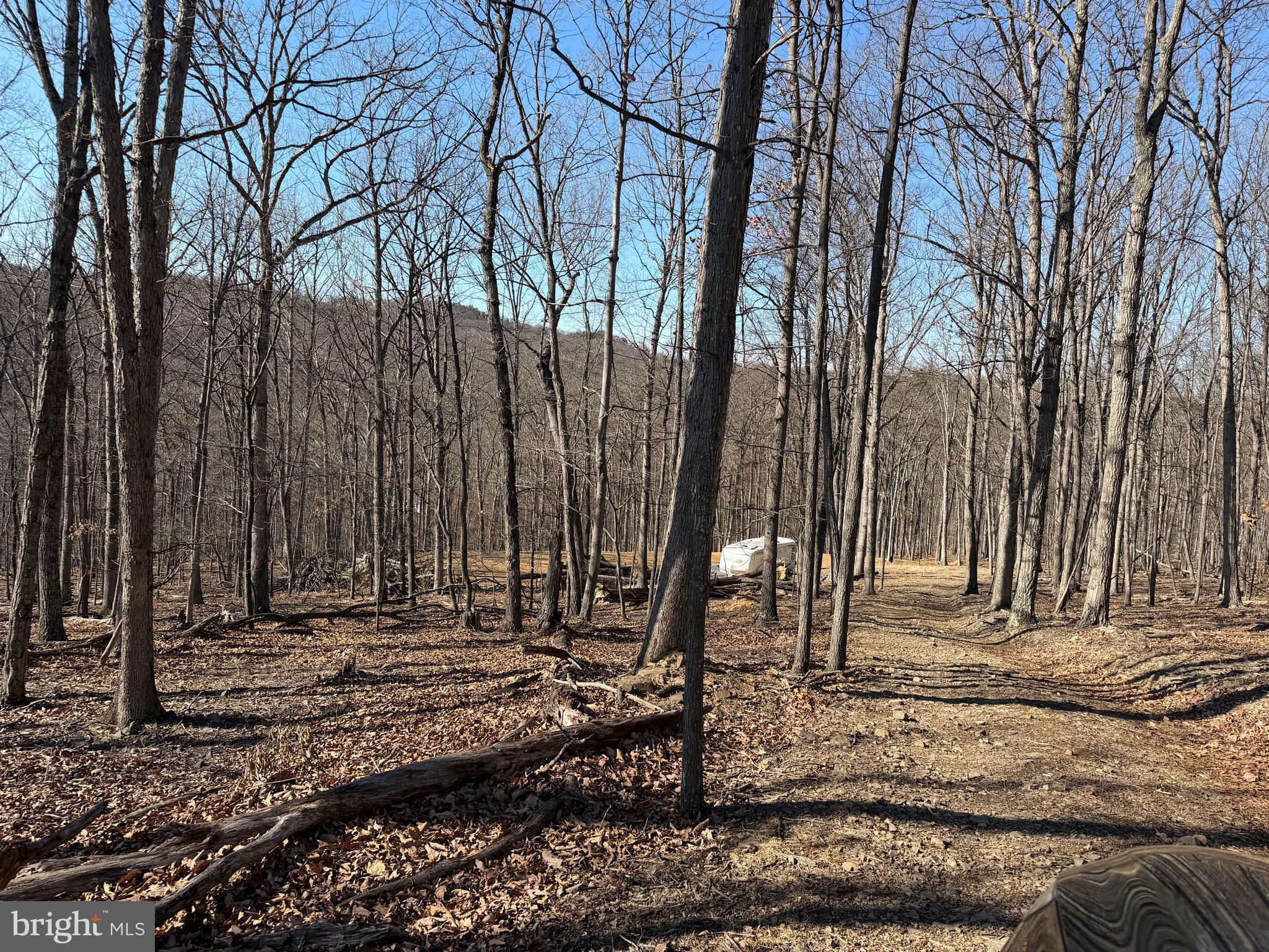 Goldsborough Road Springfield, WV 26763 - Photo 12 of 18