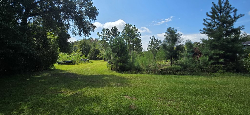 4739 Wallace Buie Road Columbia, AL 36319 - Photo 14 of 54