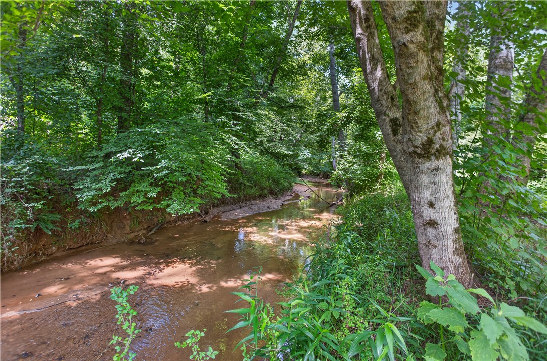 14029 Azalea Drive Seneca, SC 29678 - Photo 41 of 50