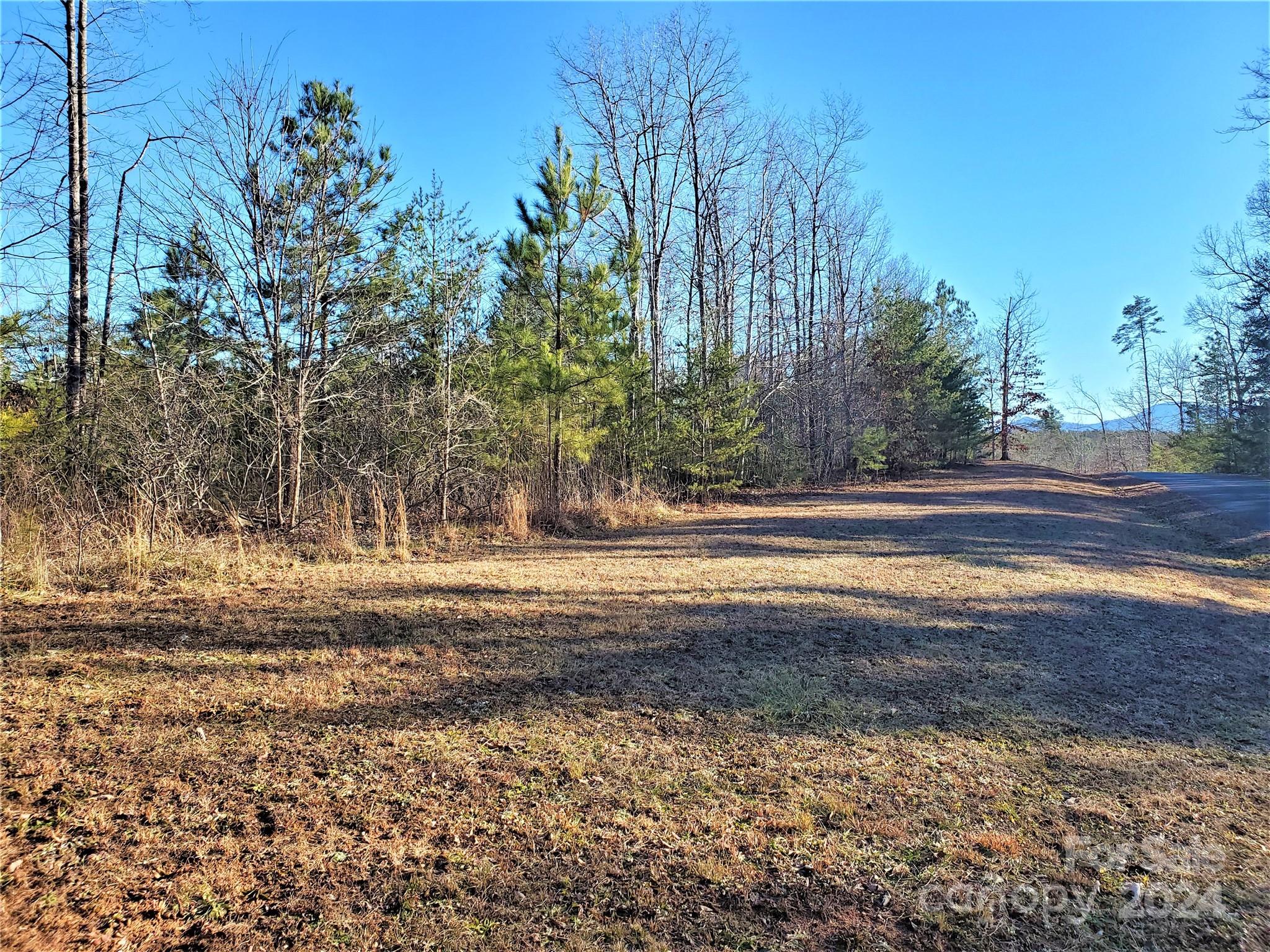 a view of backyard with green space