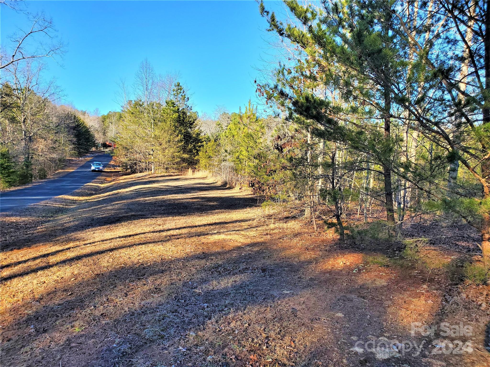0 Rock Ridge Rd Mill Spring Mill Spring, NC 28756 - Photo 2 of 4 a view of a yard with large trees