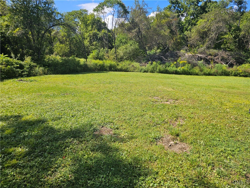 4123 State Rt 28 Herkimer, NY 13350 - Photo 22 of 22