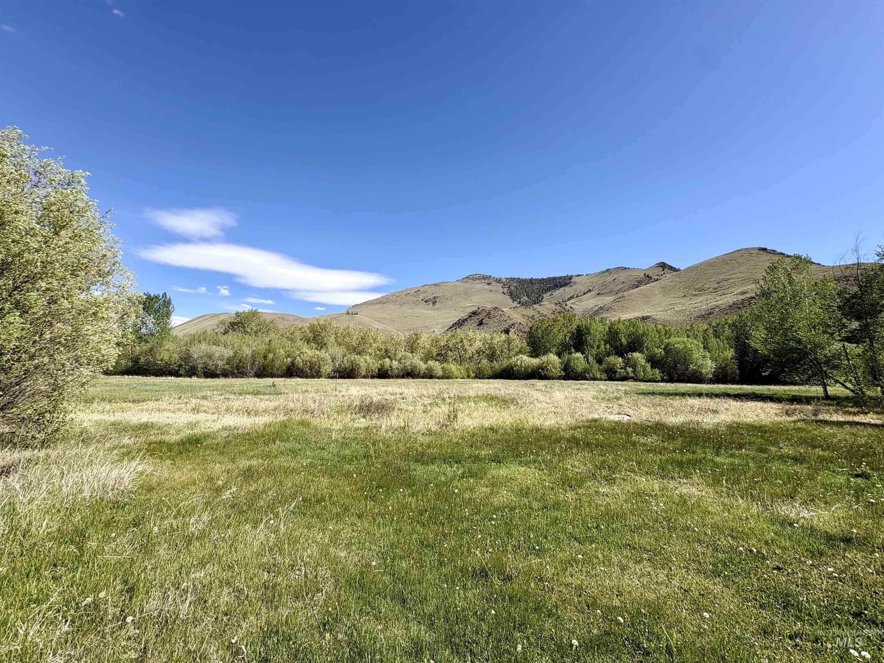 9885 Challis Creek Road Challis, ID 83226 - Photo 46 of 48 Gallery Image 46