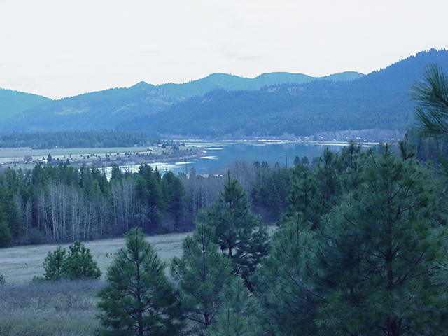 632 Westside Calispel Road Usk, WA 99180 - Photo 5 of 8 Gallery Image 5