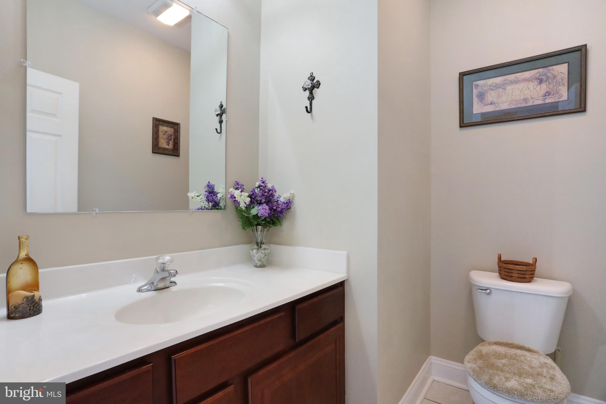 181 Co Rte 1/5 Falling Waters, WV 25419 - Photo 20 of 45 Main level bath