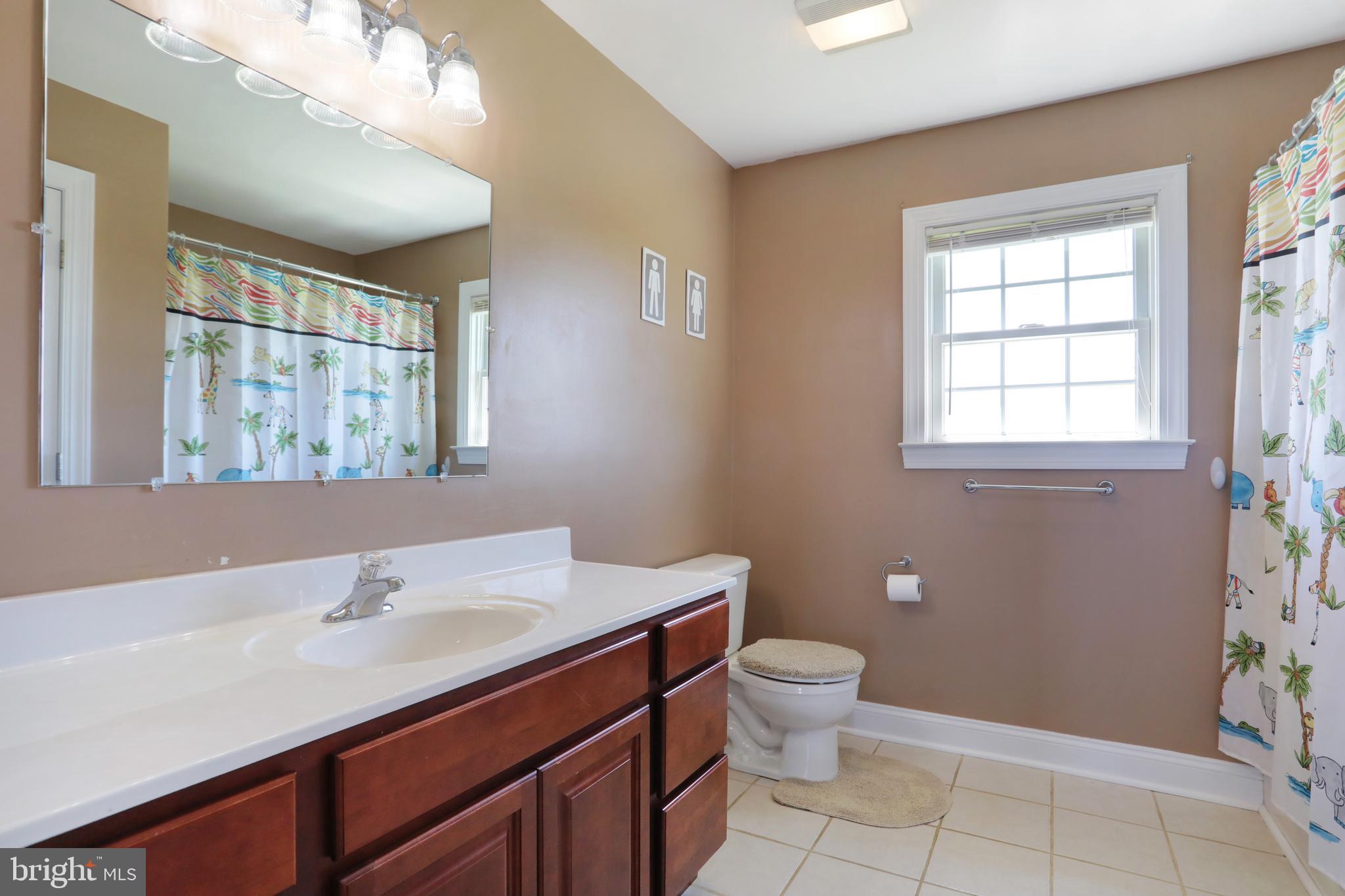 181 Co Rte 1/5 Falling Waters, WV 25419 - Photo 29 of 45 2nd floor main bath