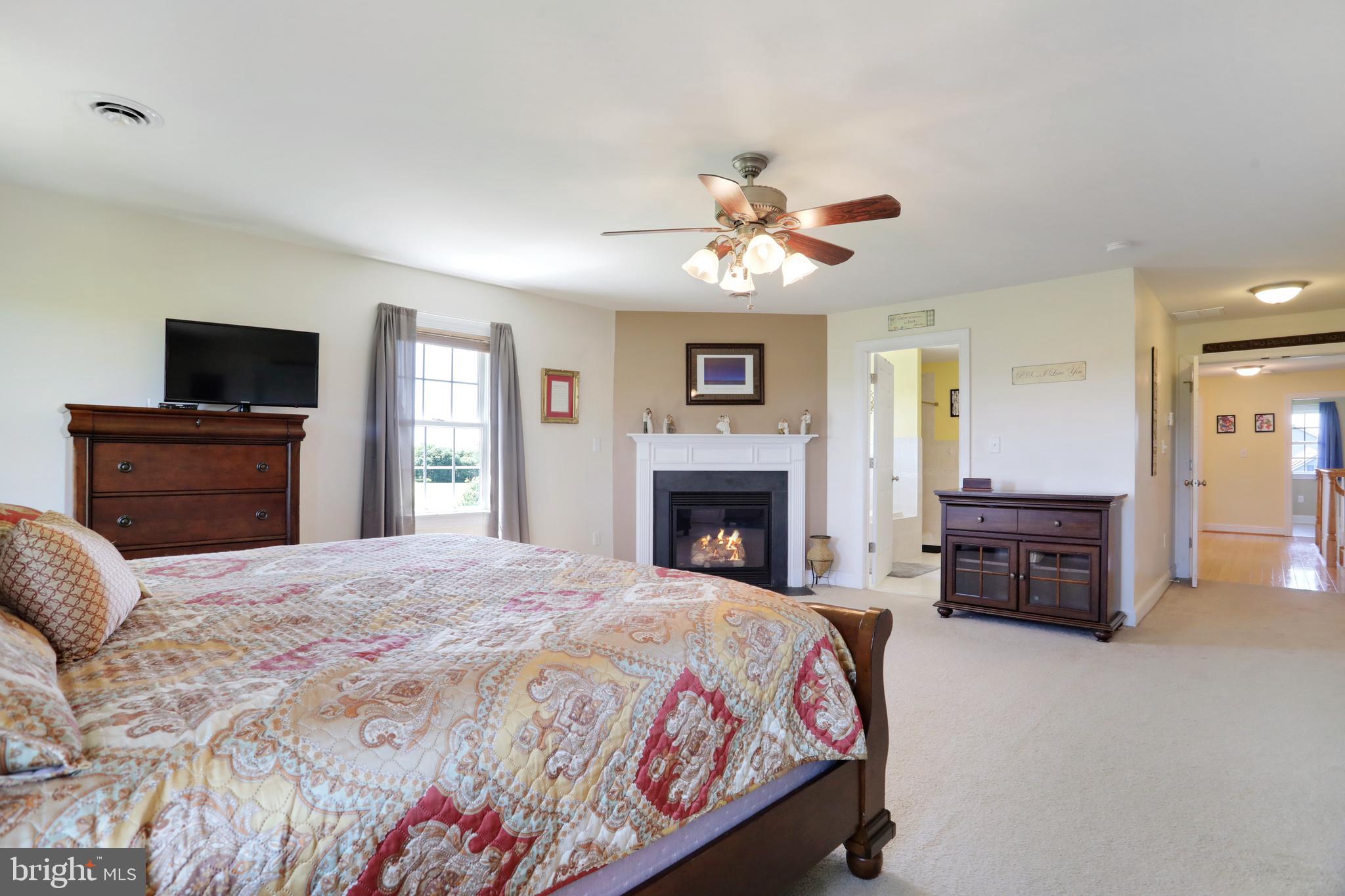 181 Co Rte 1/5 Falling Waters, WV 25419 - Photo 34 of 45 Master suite complete with cozy fireplace