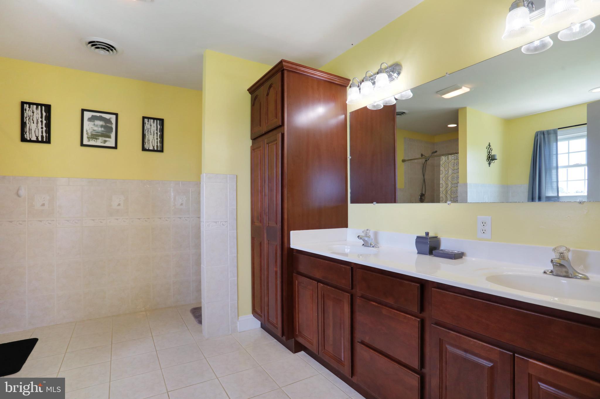 181 Co Rte 1/5 Falling Waters, WV 25419 - Photo 36 of 45 Master bath