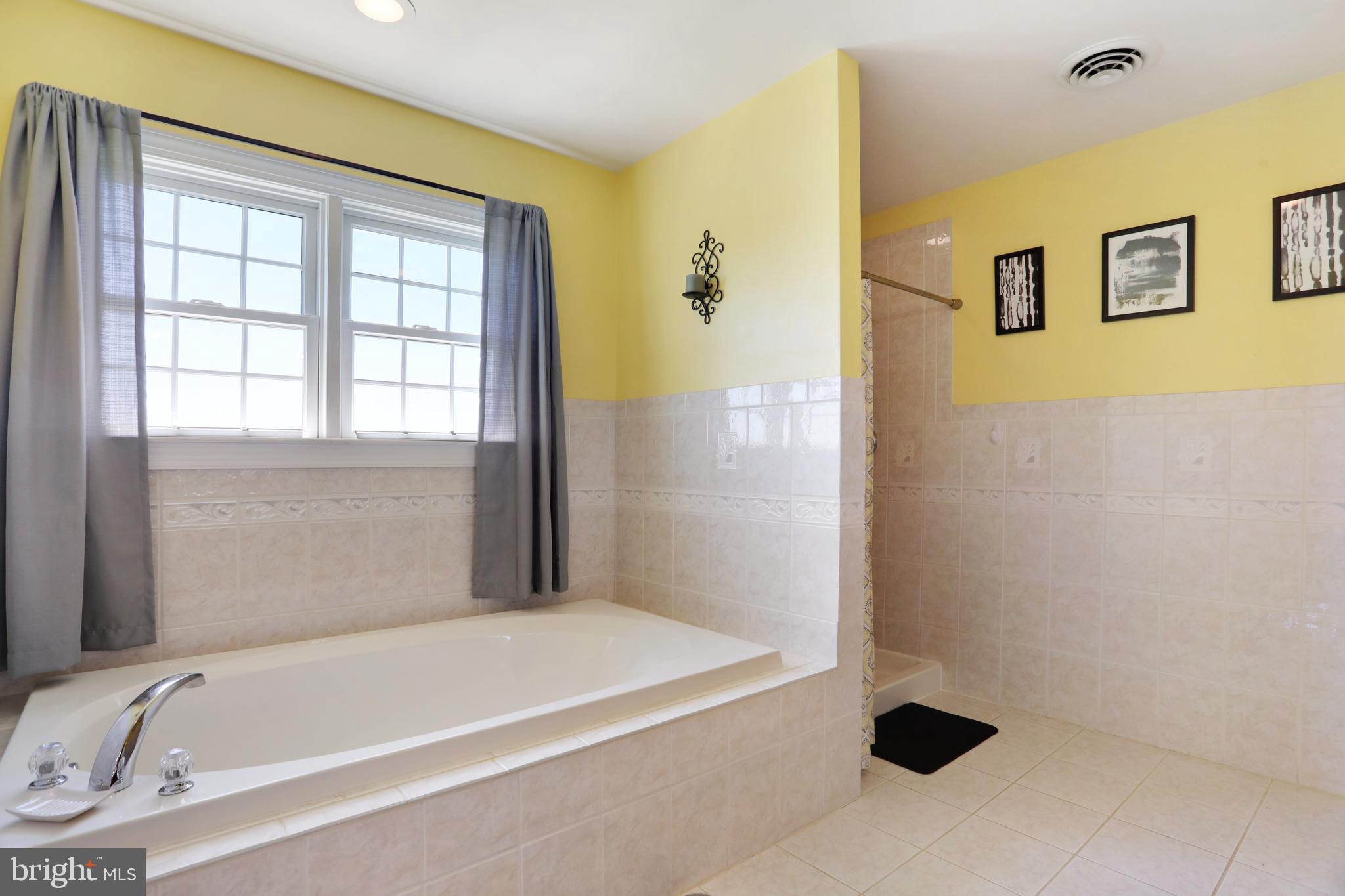 181 Co Rte 1/5 Falling Waters, WV 25419 - Photo 37 of 45 Master bath with tub and shower!