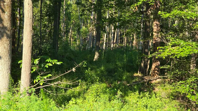 $512,000 | 0 West County Road 500 Tract 1 North, Osgood, IN 47023