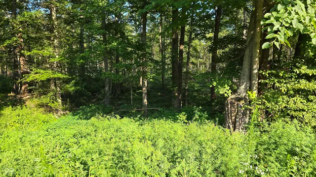 $512,000 | 0 West County Road 500 Tract 1 North, Osgood, IN 47023