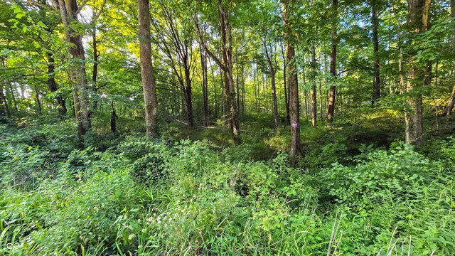 $512,000 | 0 West County Road 500 Tract 1 North, Osgood, IN 47023