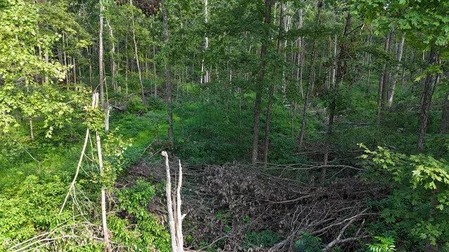 $512,000 | 0 West County Road 500 Tract 1 North, Osgood, IN 47023