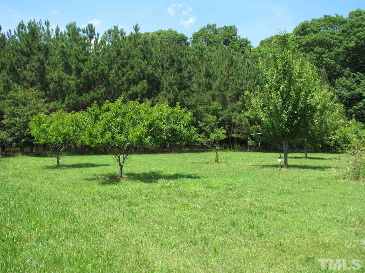 1668 Cunningham Road Semora, NC 27343 - Photo 24 of 25 Gallery Image 24