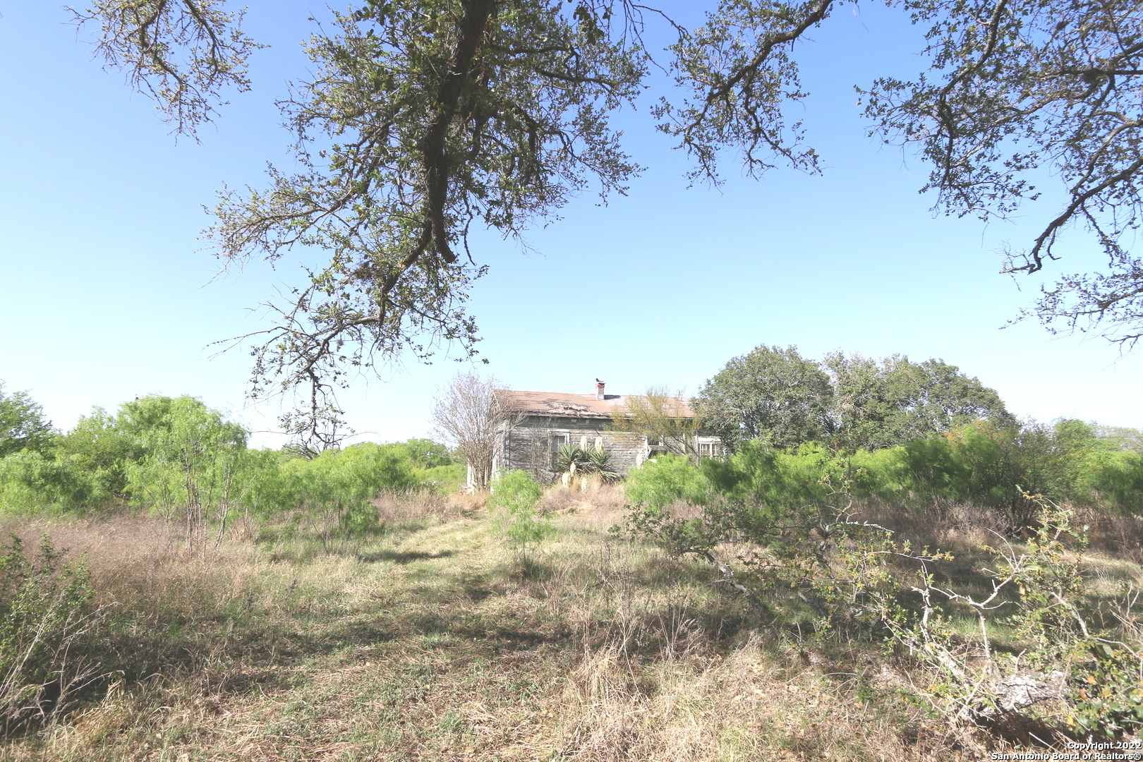 a view of a yard with a tree