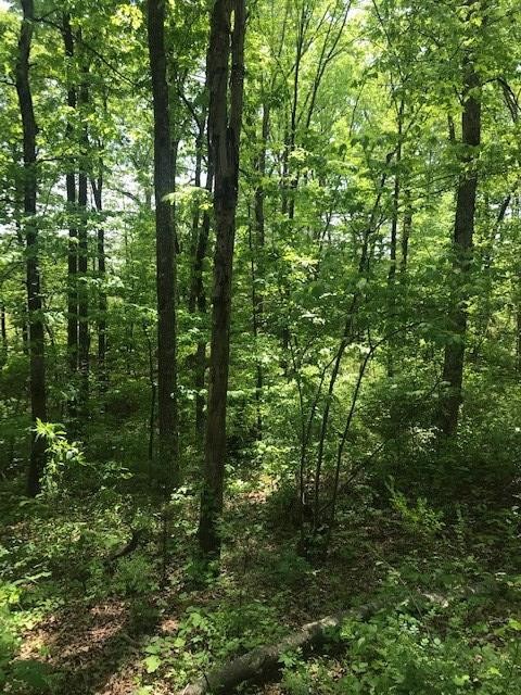 63 County Road 100 Decatur, TN 37322 - Photo 7 of 9