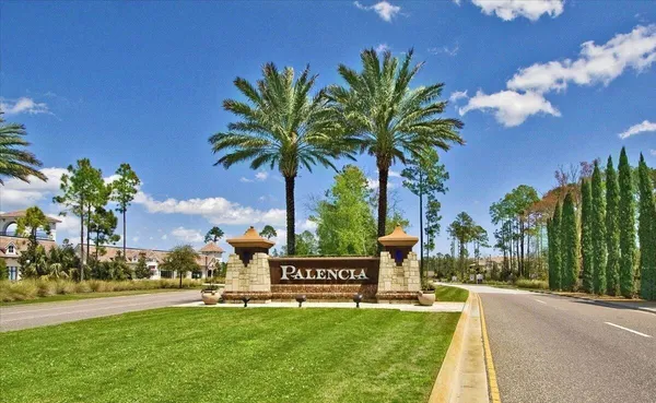 a view of a swimming pool with a garden and plants
