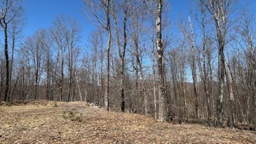 1376 Kingdom Road Ludlow, VT 05149 - Photo 3 of 23