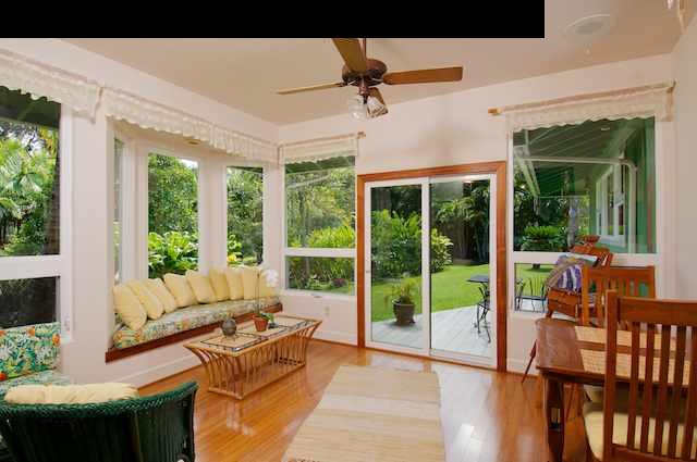 1011 Upper Ulumalu Road, Unit A Haiku, HI 96708 - Photo 5 of 30 a living room with furniture and a large window