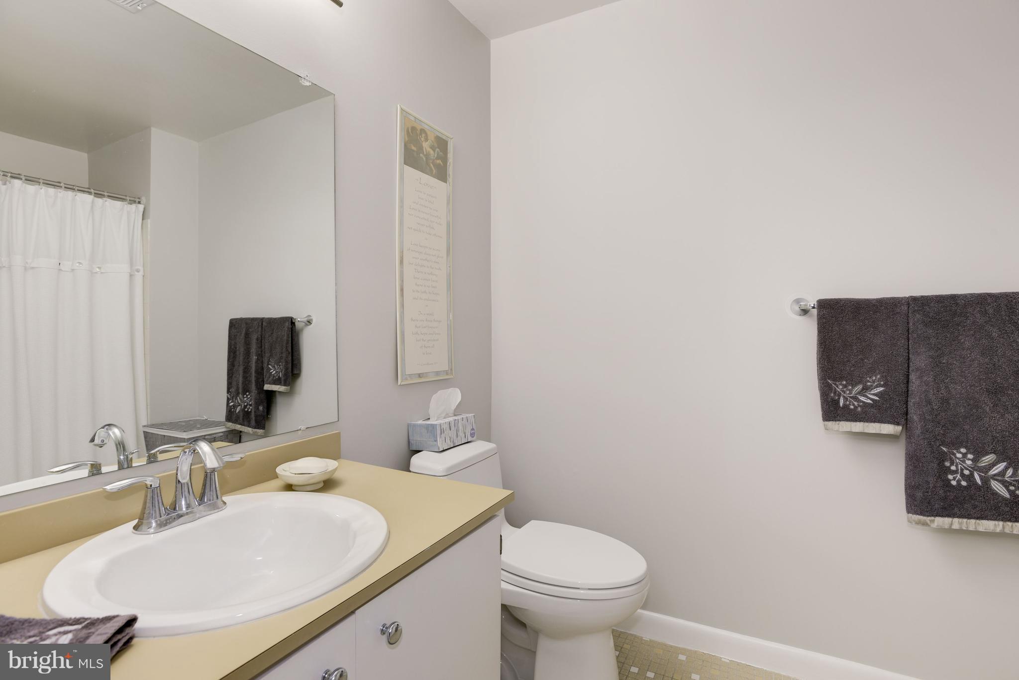 2008 Lakewinds Drive Reston, VA 20191 - Photo 16 of 30 Bath (Master)
