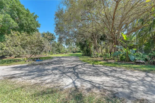a view of a yard with a tree