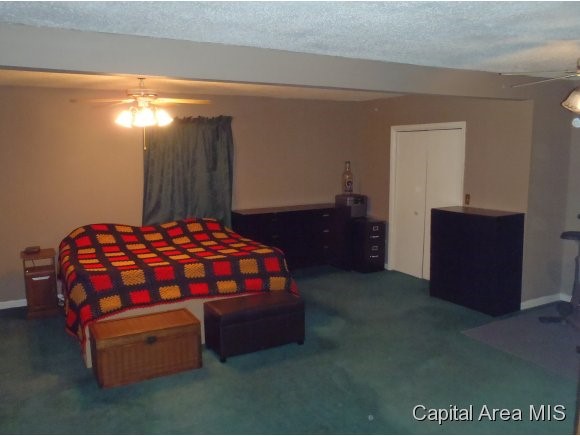 5193 Bates Road New Berlin, IL 62670 - Photo 8 of 10
