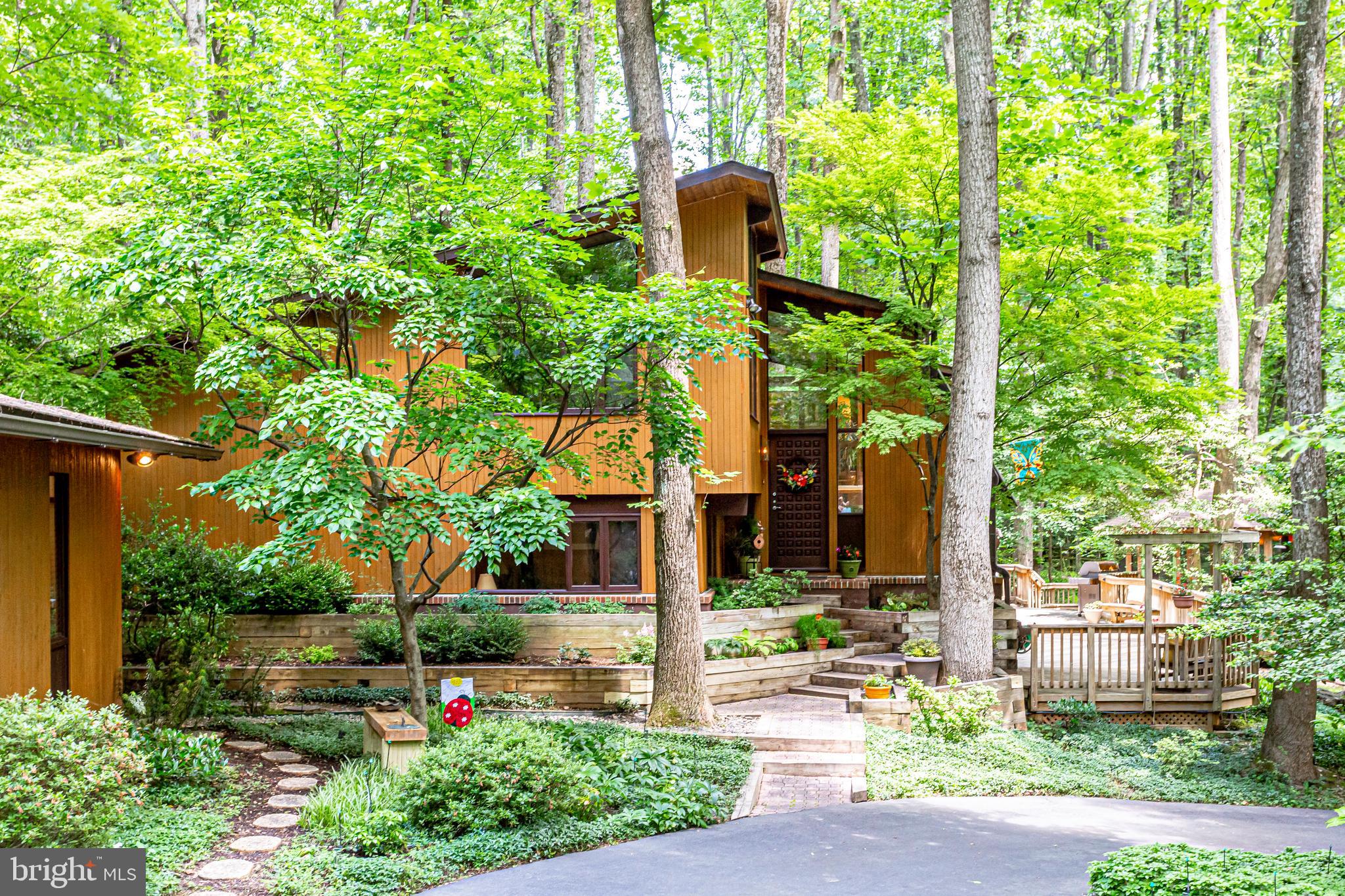 11606 Foxclove Road Reston, VA 20191 - Photo 4 of 80 Natural Paradise on a Private 1.9 Acre Lot!