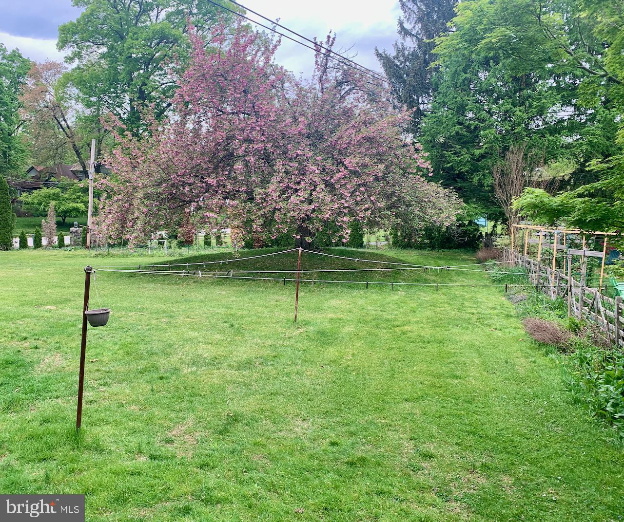 115 Walnut Avenue Wayne, PA 19087 - Photo 4 of 24 Back yard
