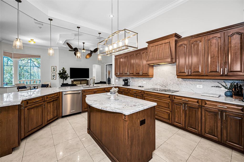 10709 Watula Court New Port Richey, FL 34655 - Photo 28 of 99