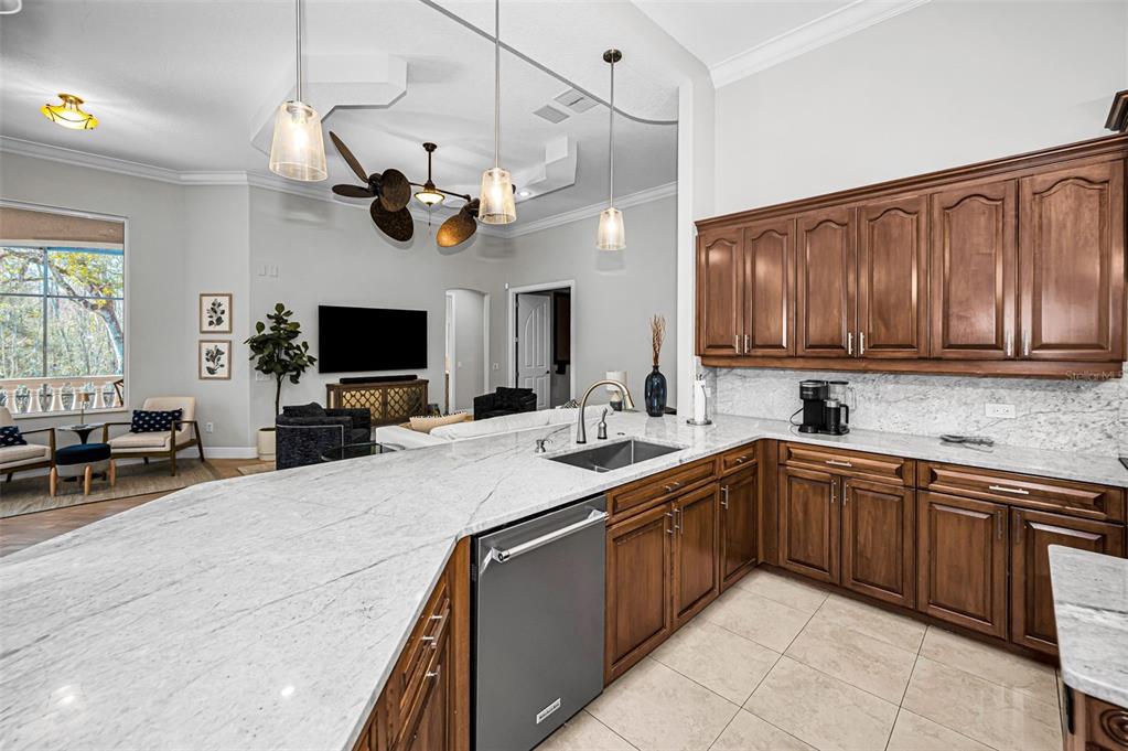 10709 Watula Court New Port Richey, FL 34655 - Photo 30 of 99