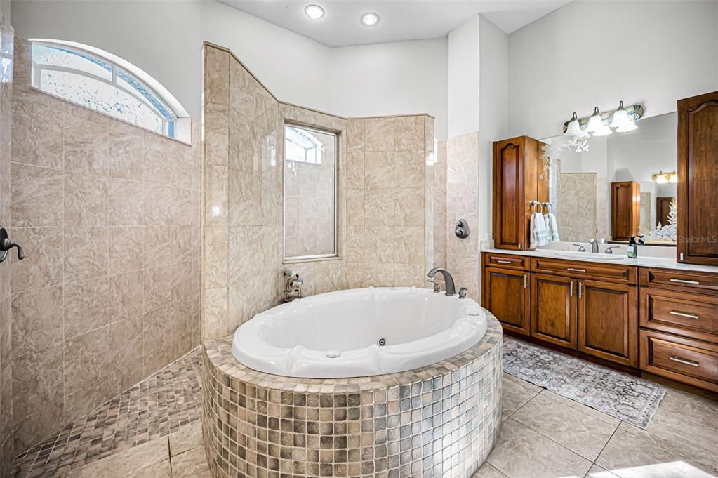 10709 Watula Court New Port Richey, FL 34655 - Photo 49 of 99 a bathroom with a tub a sink and a mirror