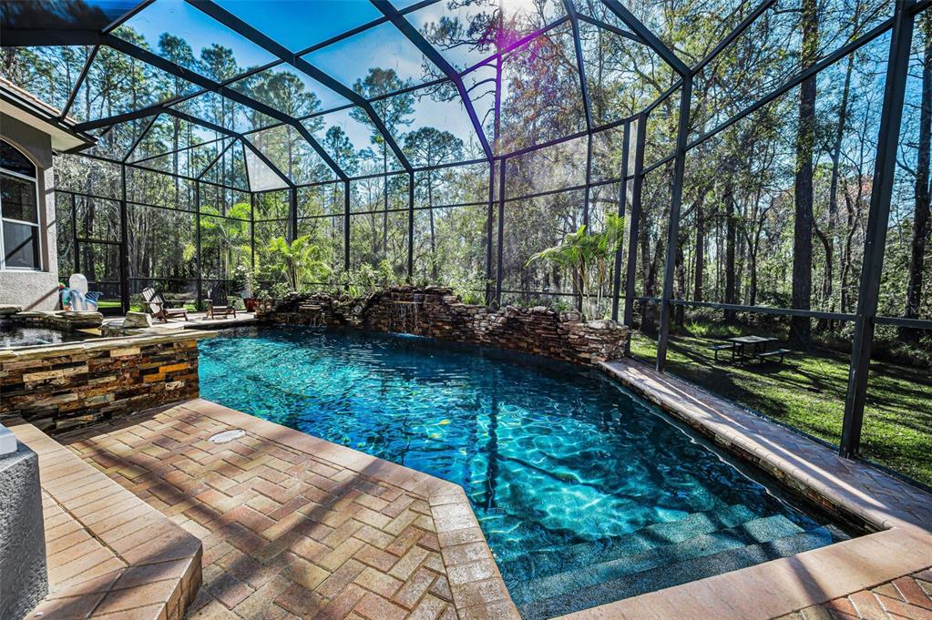 10709 Watula Court New Port Richey, FL 34655 - Photo 77 of 99 a view of a backyard with sitting area