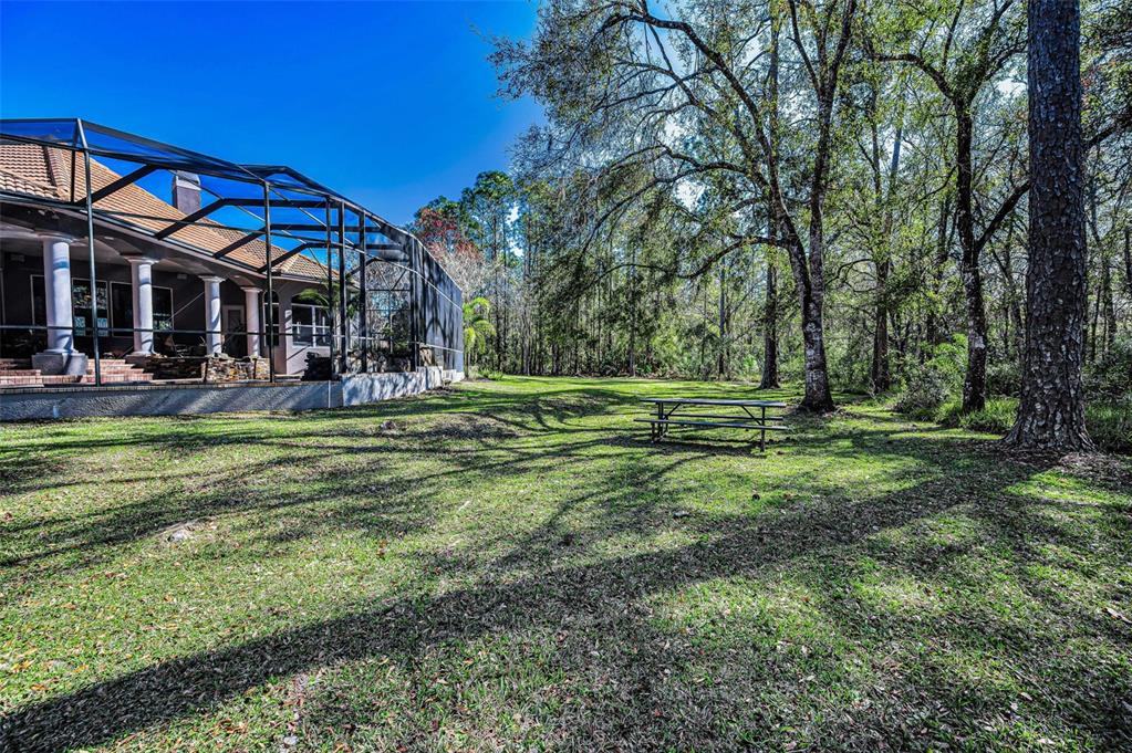 10709 Watula Court New Port Richey, FL 34655 - Photo 86 of 99