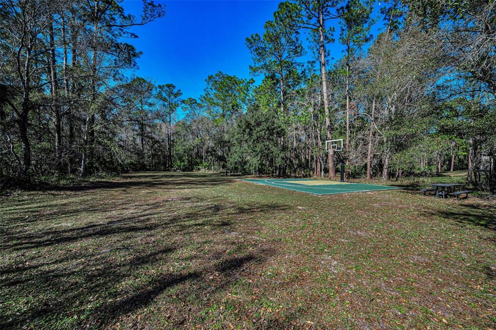 10709 Watula Court New Port Richey, FL 34655 - Photo 87 of 99