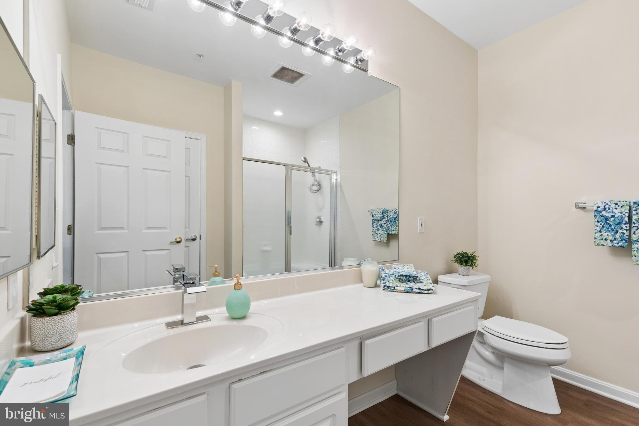431 Hamlet Club Drive, Unit 102 Edgewater, MD 21037 - Photo 26 of 55 a bathroom with a sink and a mirror