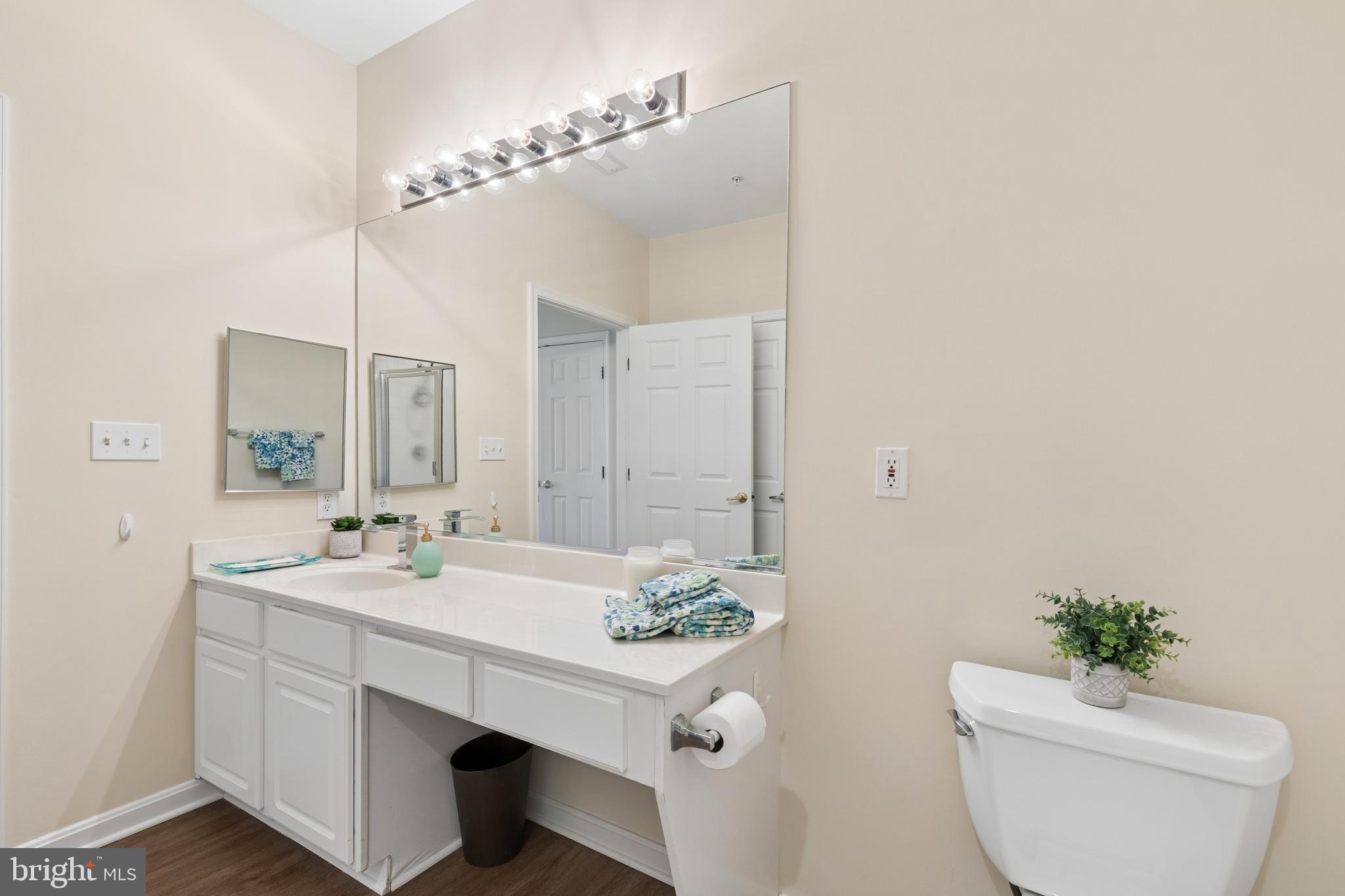 431 Hamlet Club Drive, Unit 102 Edgewater, MD 21037 - Photo 28 of 55 a bathroom with a sink a toilet and mirror