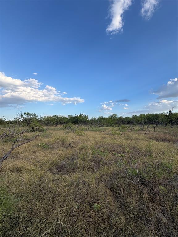 271 Wyatt Road Jacksboro, TX 76458 - Photo 6 of 40 Expansive undeveloped land with natural vegetation and distant trees