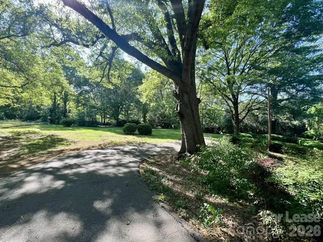 a view of a trees with a yard
