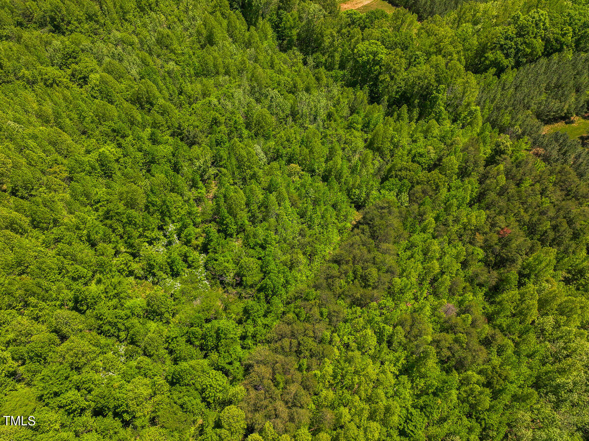 Lot-2-00 Wilson Road Providence, NC 27315 - Photo 38 of 39 Caswell Co. NC -Wilsons Ridge-Lot 2-36