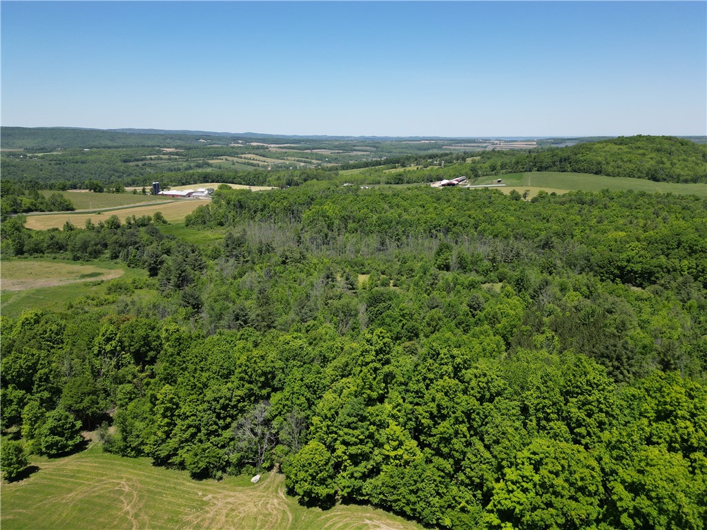 5087 Hagerty Road Middlesex, NY 14507 - Photo 25 of 37