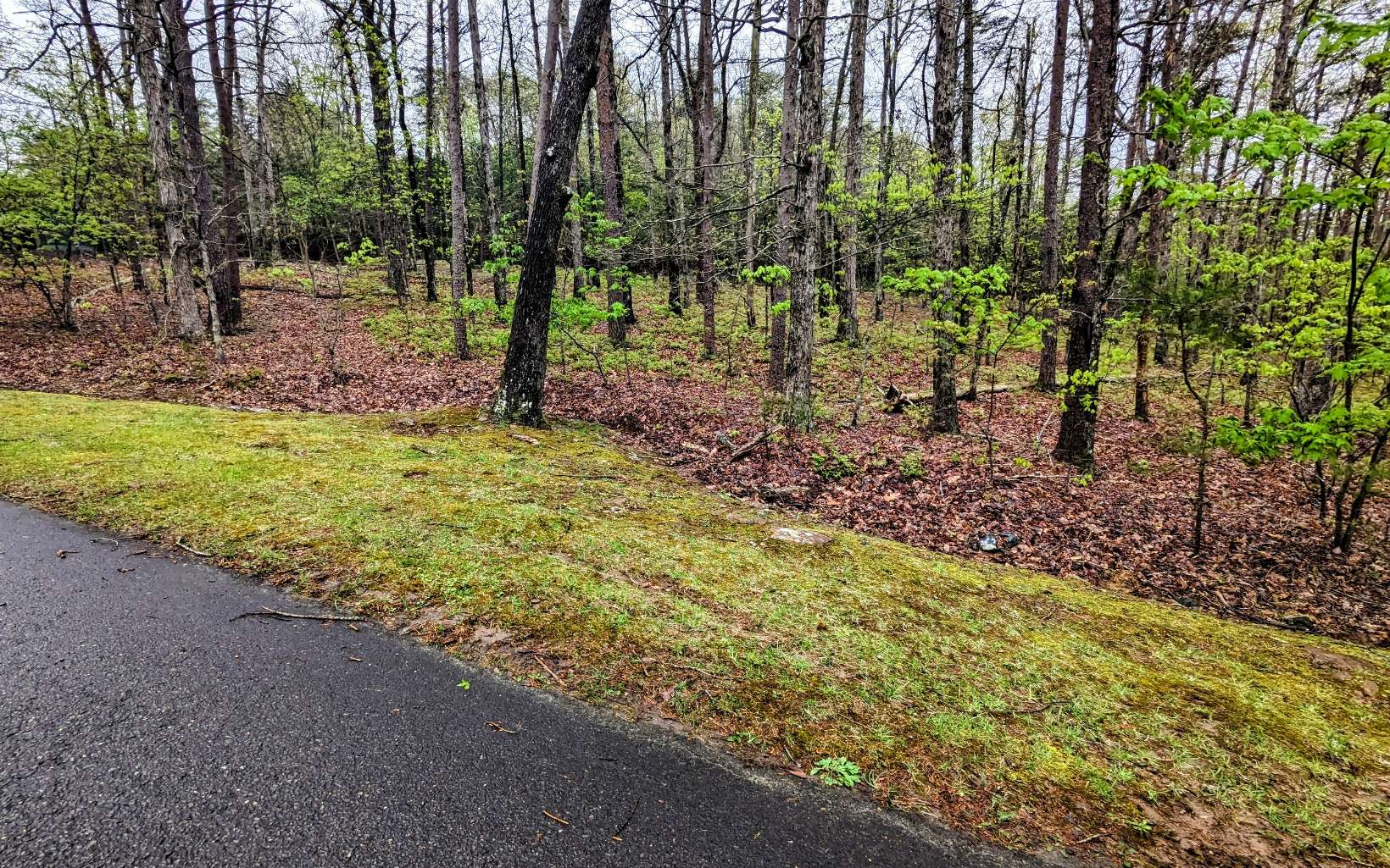 155 Sharp Mountain Parkway Jasper, GA 30143 - Photo 13 of 19 Additional View