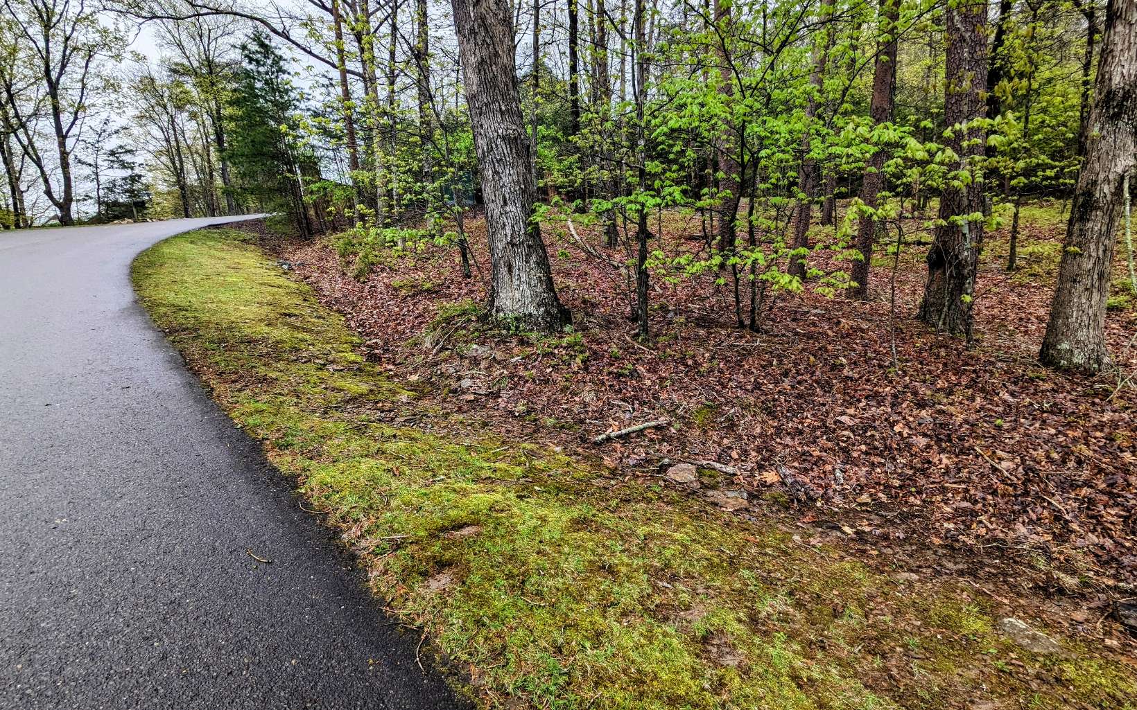 155 Sharp Mountain Parkway Jasper, GA 30143 - Photo 15 of 19 Additional View