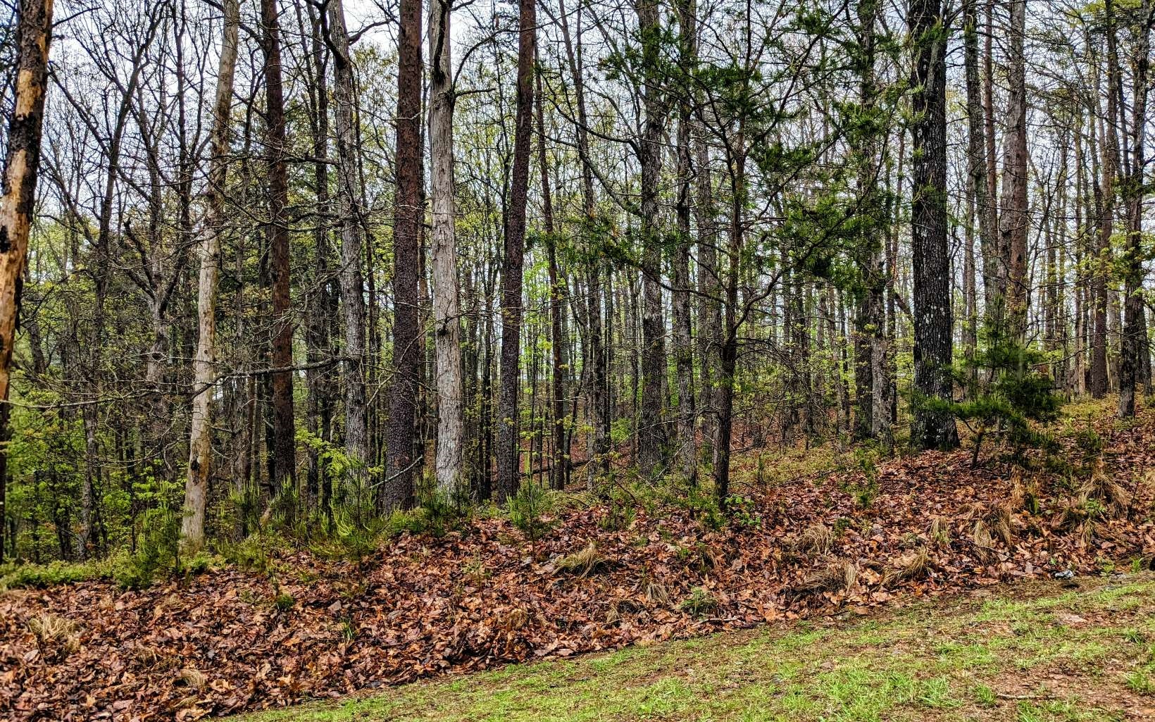 155 Sharp Mountain Parkway Jasper, GA 30143 - Photo 16 of 19 Additional View