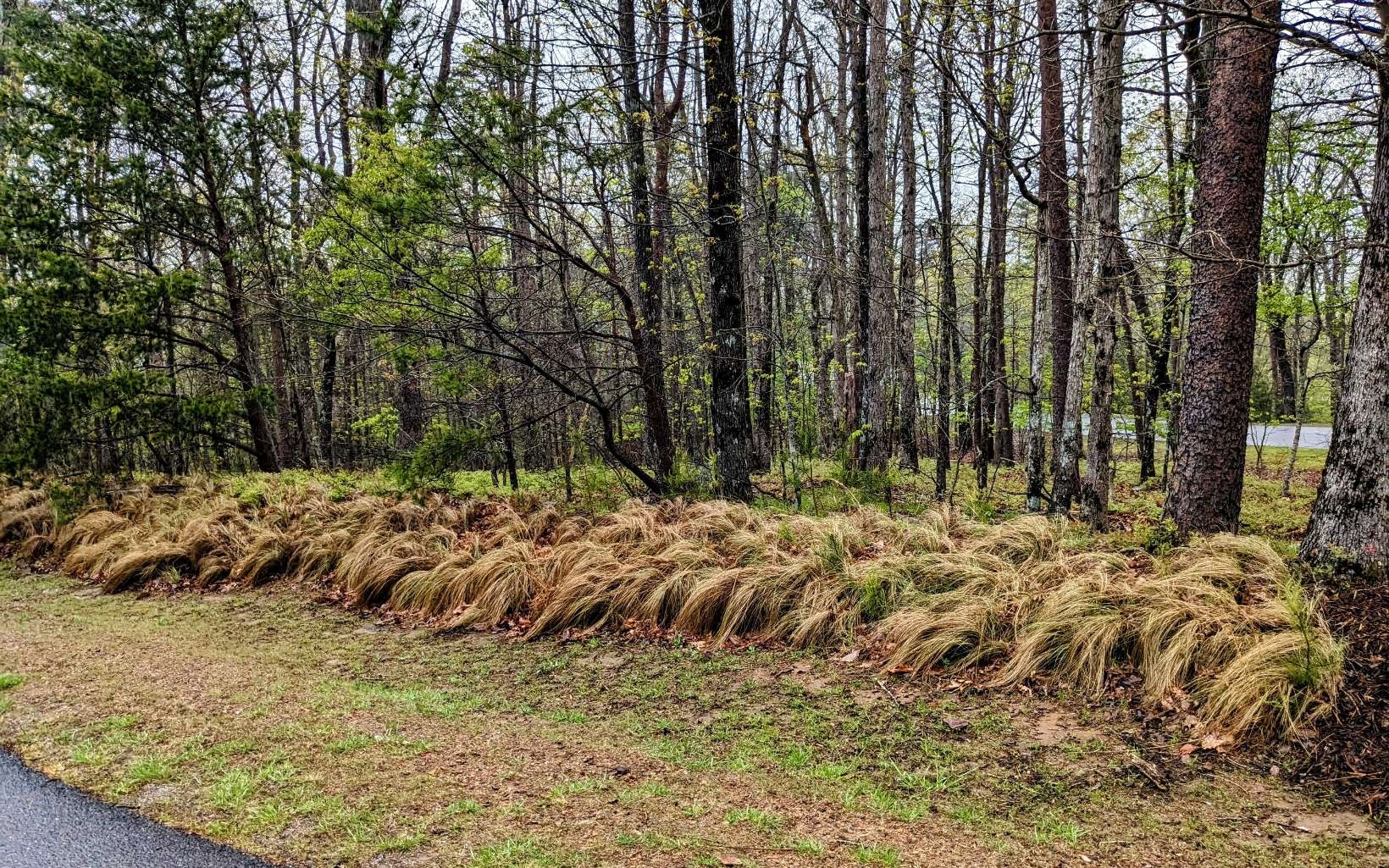 155 Sharp Mountain Parkway Jasper, GA 30143 - Photo 17 of 19 Additional View