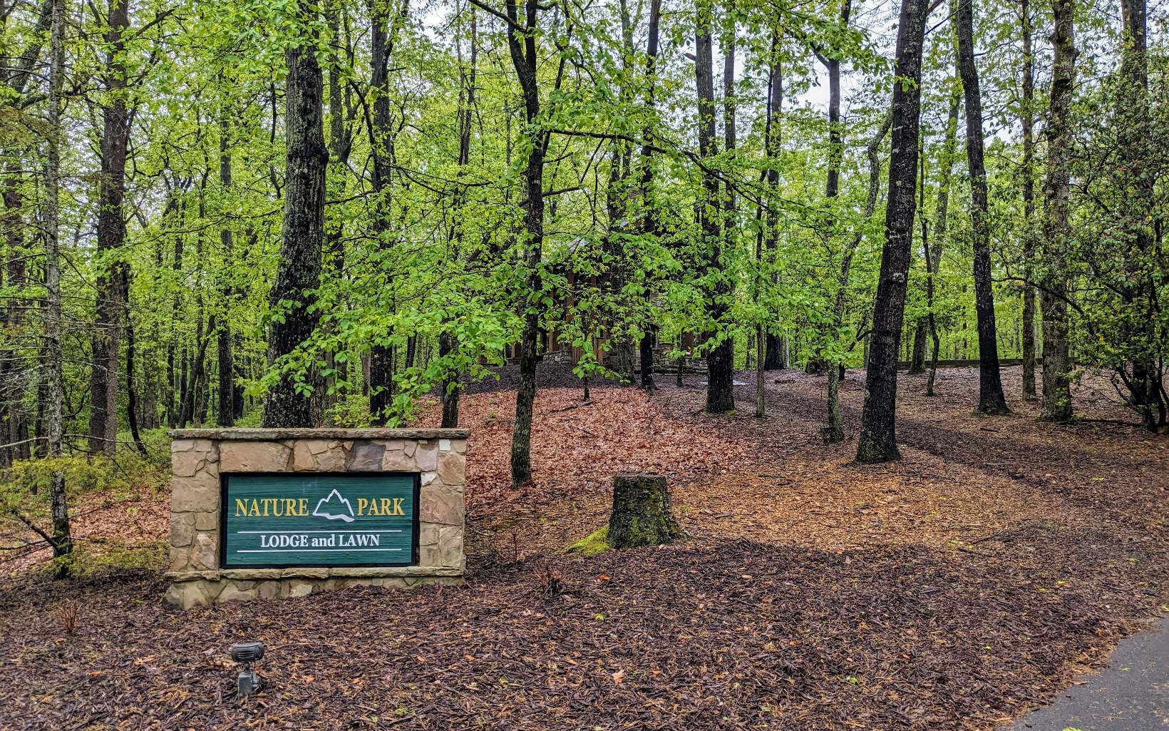 155 Sharp Mountain Parkway Jasper, GA 30143 - Photo 19 of 19 Additional View