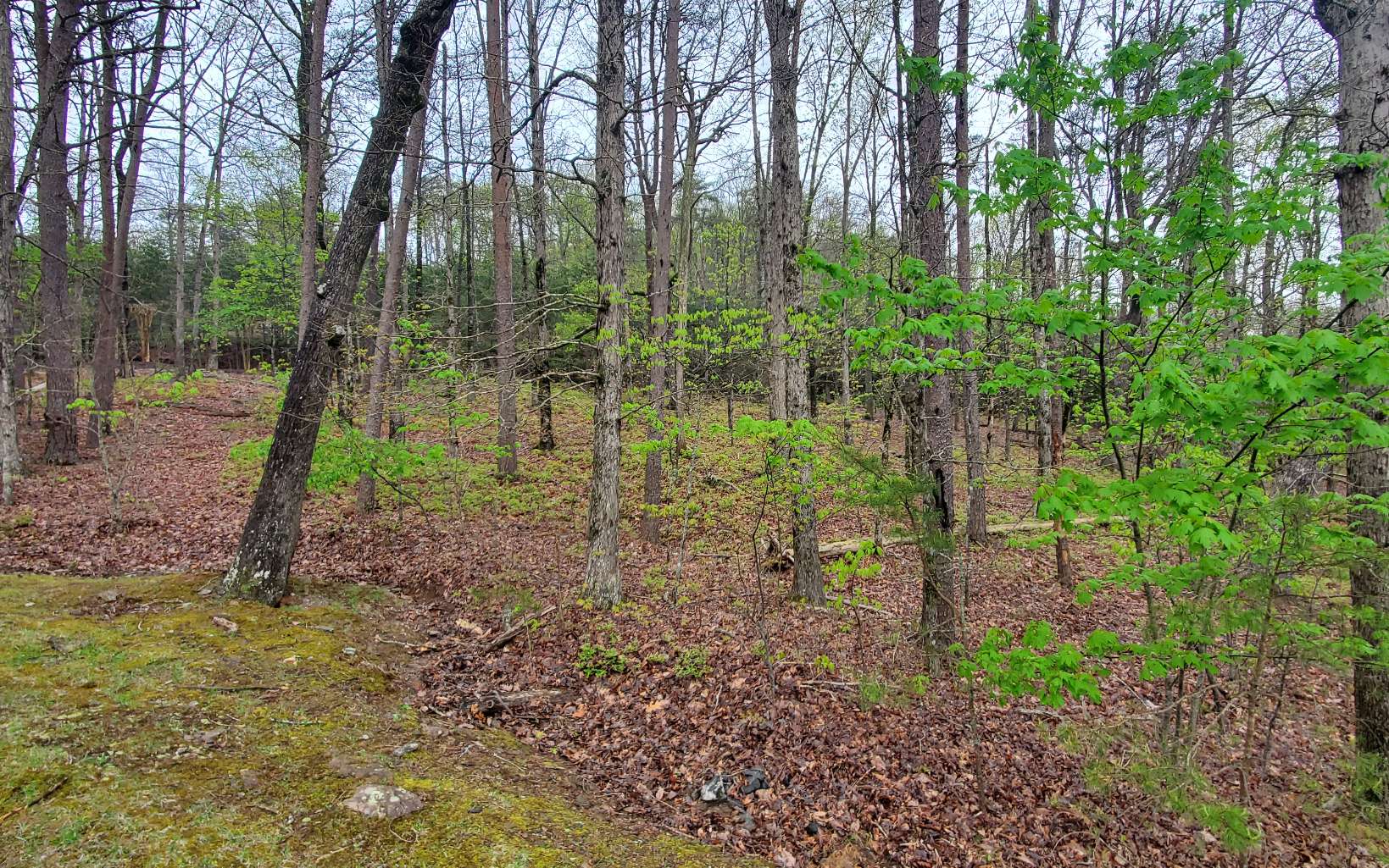 155 Sharp Mountain Parkway Jasper, GA 30143 - Photo 7 of 19 Additional View