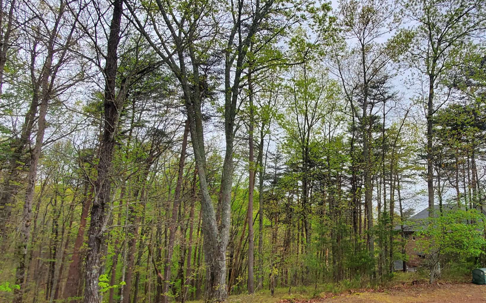 155 Sharp Mountain Parkway Jasper, GA 30143 - Photo 9 of 19 Additional View